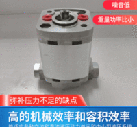 齿轮泵 路障双向动力单元齿轮泵  液压泵 高压静音
