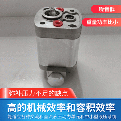 齿轮泵 路障双向动力单元齿轮泵 小排量齿轮泵