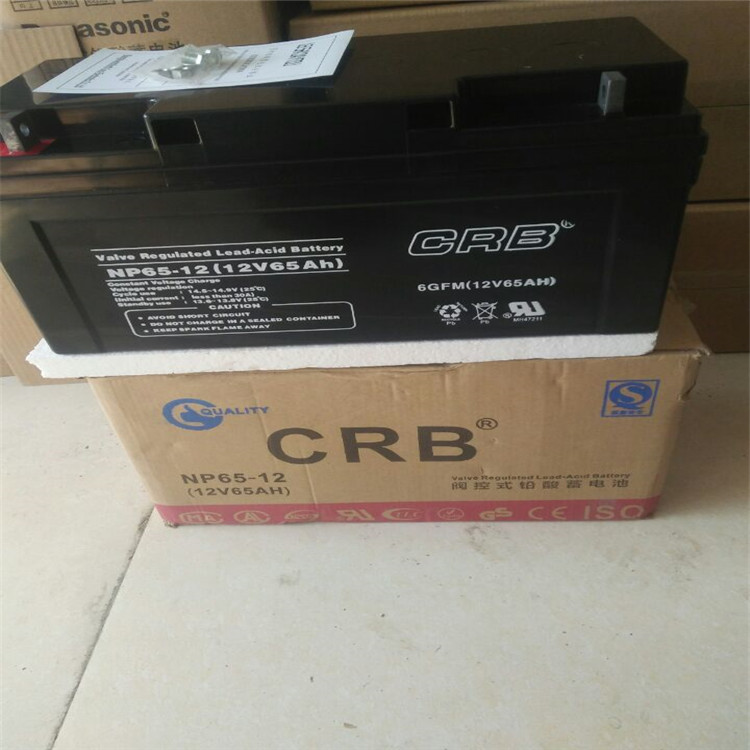 美国CRB蓄电池NP120-12 12V120AH UPS直流屏铅酸蓄电池