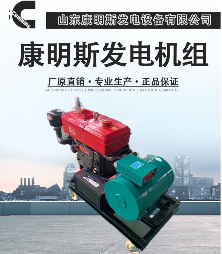 供应单缸柴油发电机组 纯铜电机 柴油发电机组
