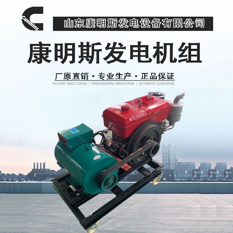 山东单缸发电机组价格 纯铜柴油发电机组供应商