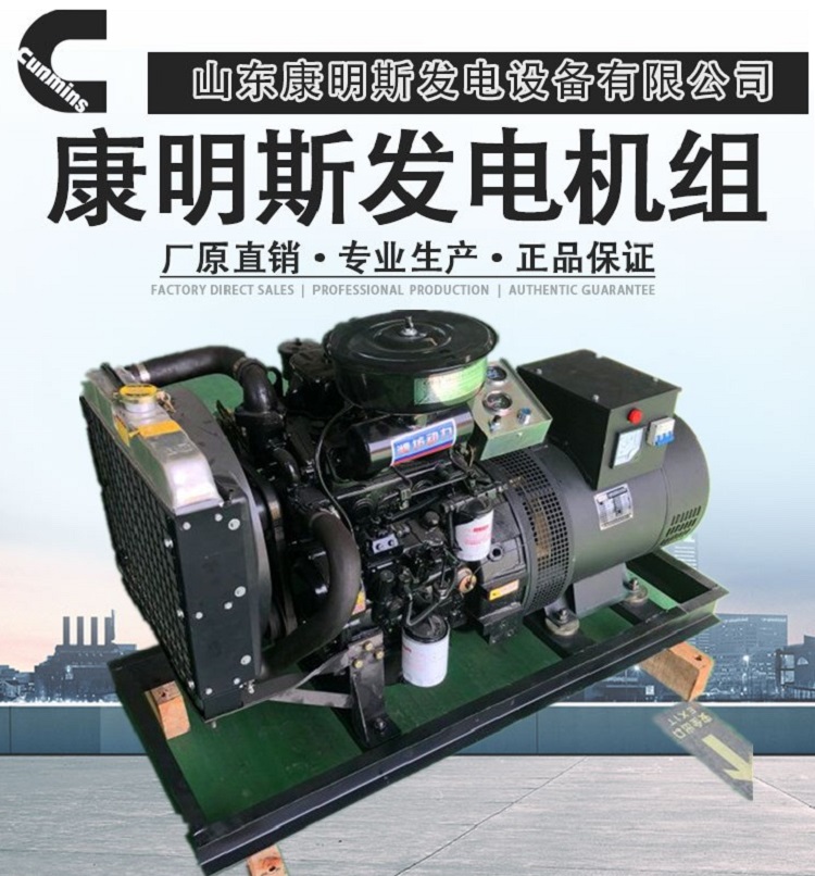 河北双缸发电机组供应商  20kw双缸柴油发电机批发商