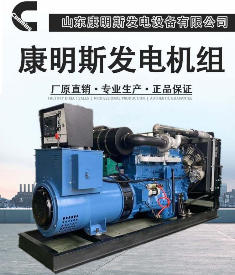 柴油发电机组 TSL-100GF柴油发电机组 工程机械用停电备用发电机