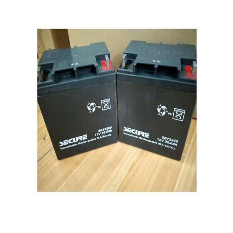 SECURE安全蓄电池SB12250 免维护 铅酸储能蓄电池 12V25AH蓄电池