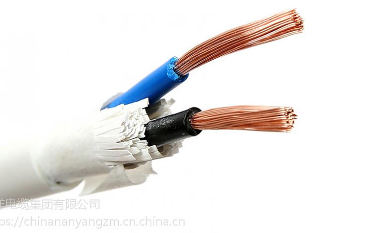 上海南洋 RVV 2*1 mm2 电源连接线 百年南洋 质量可靠 电缆一线品牌 欢迎订购