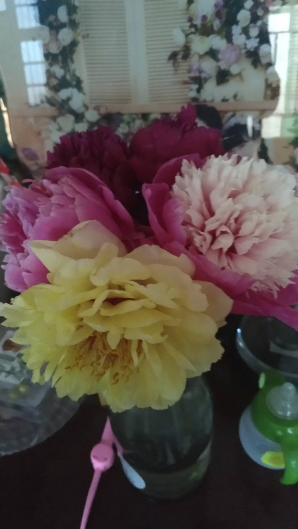 鲜切花芍药/芍药/菏泽国磊牡丹大量特供