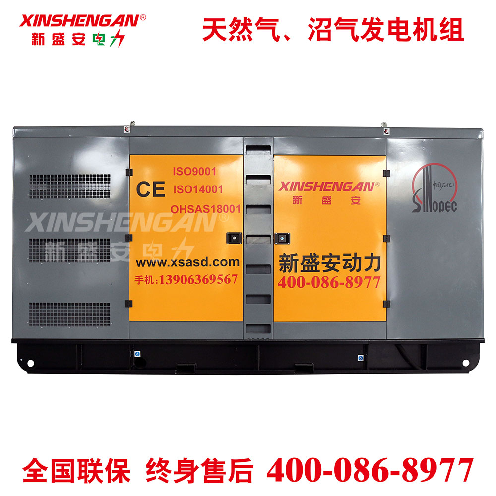 XINSHENGAN 250KW 天然气发电机组 沼气发电机组 静音发电机组