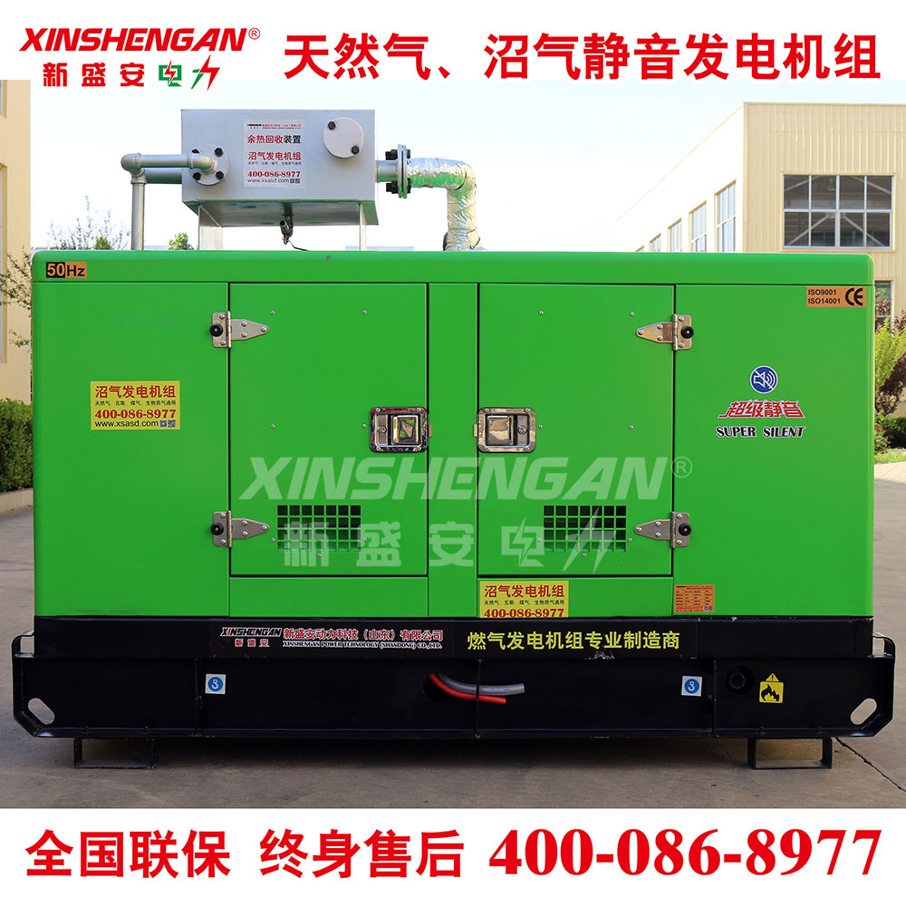 XINSHENGAN 10kW 天然气发电机组 沼气发电机组 静音发电机组