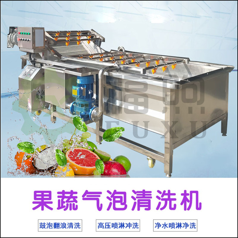 果蔬气泡清洗机多少钱 福煦净菜清洗加工设备 水果气泡清洗机