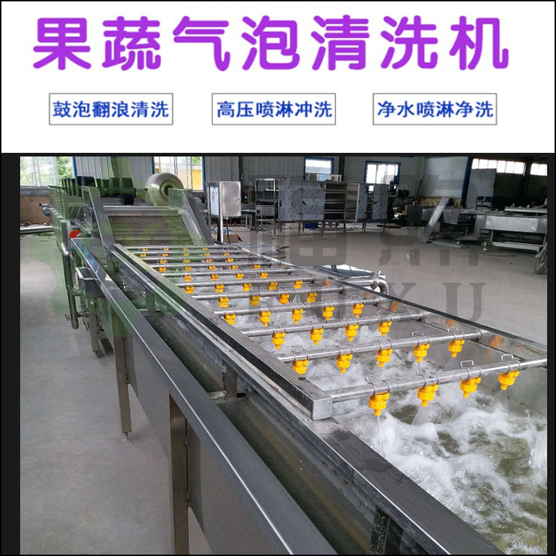 大型果蔬气泡清洗机 福煦柑橘清洗机 空心菜龙须菜清洗机
