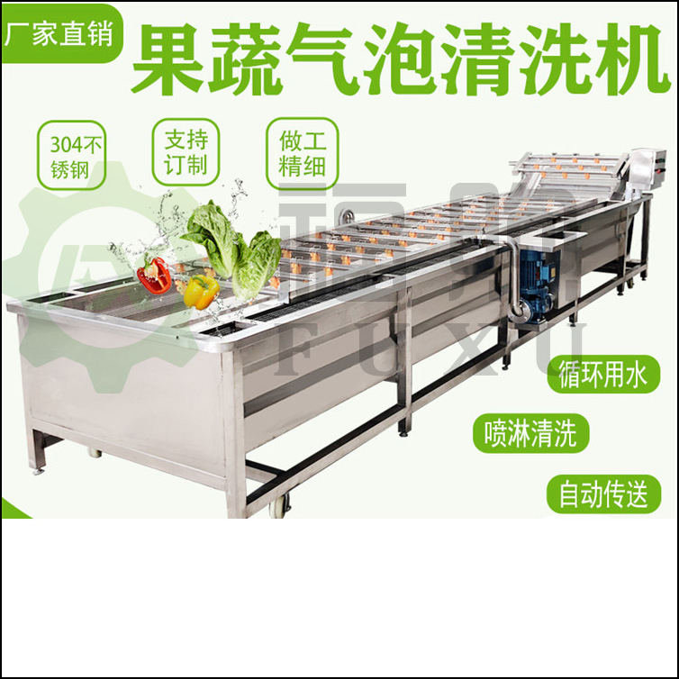 果蔬气泡清洗机多少钱 福煦柑橘清洗机 空心菜龙须菜清洗机