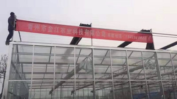 玻璃温室建设 青州玻璃温室大棚 工程质量保证