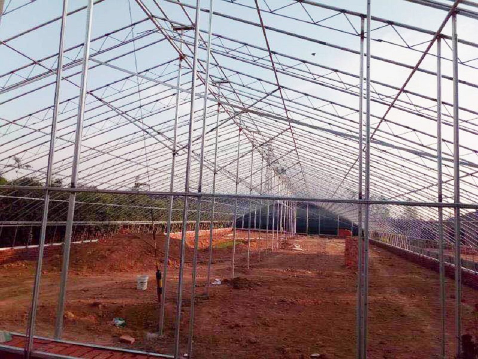 定制日光温室大棚 日光温室大棚建设商-金江