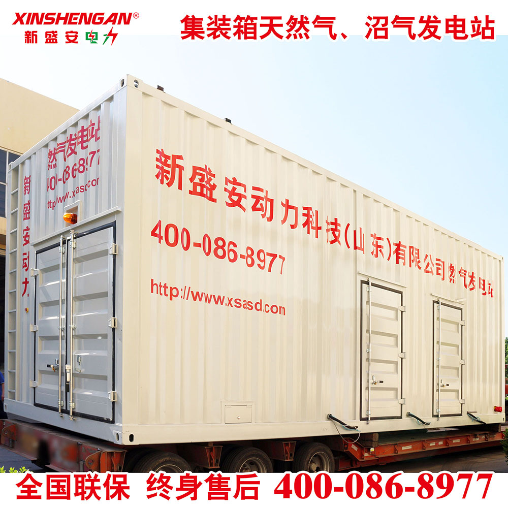 XINSHENGAN 600KW 集装箱电站 燃气发电机组 集装箱发电机组 方舱电站