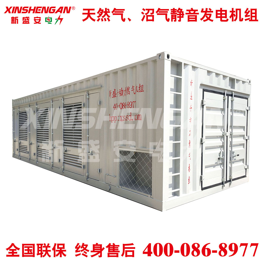 XINSHENGAN 750kW 沼气发电机组 燃气发电机组 天然气发电机组 集装箱电站 方舱电站