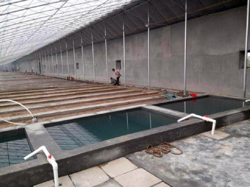 金江日光温室大棚建设 日光温室大棚承建 期待你的来电