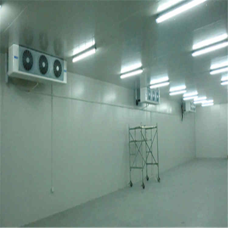 定制冷冻库-低温冷冻库建造安装-新型节能冷冻库建设