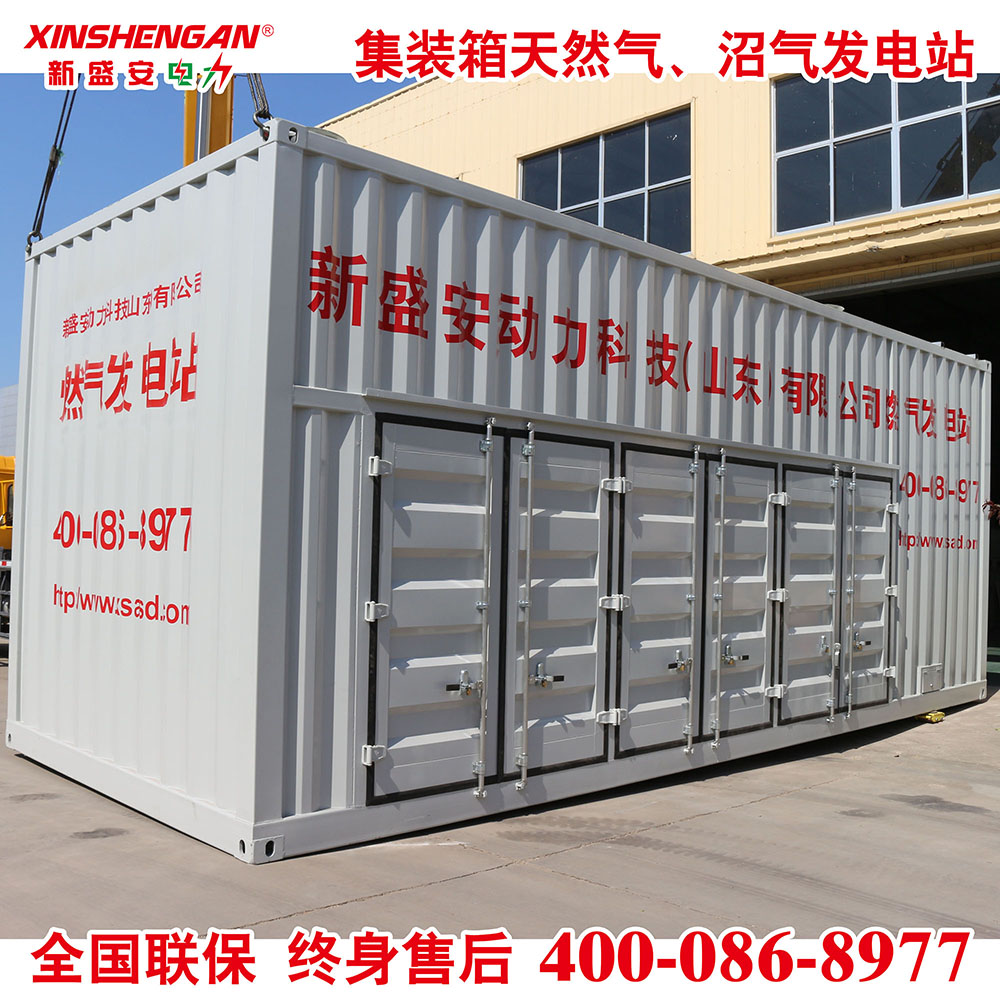 XINSHENGAN 1000kW 集装箱电站 燃气发电机组 沼气发电机组 天然气发电机组