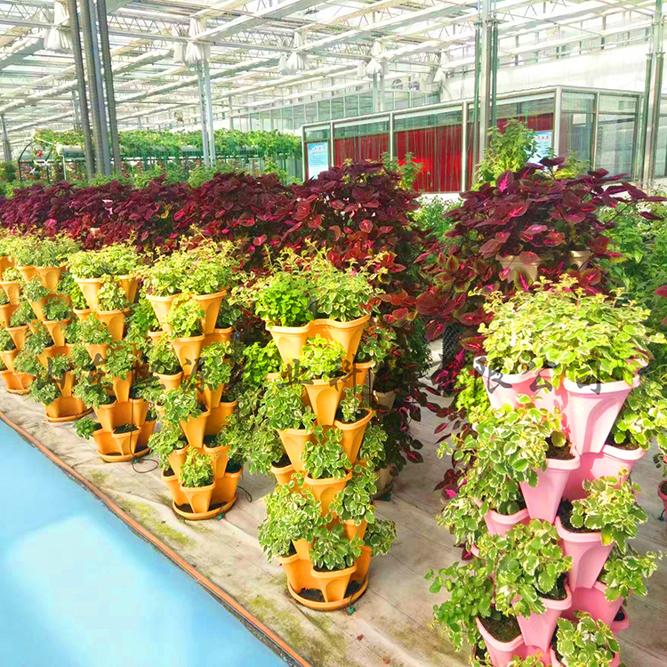 立柱无土栽培 蔬菜立体种植 无土栽培厂家批发 基质土种植蔬菜