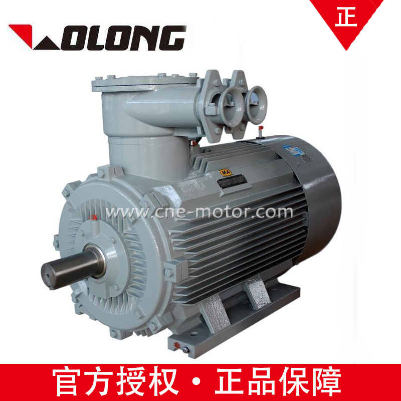 YBX3-355L2-12 160  KW化工厂dI Mb立式鼠笼转子电机节能专用