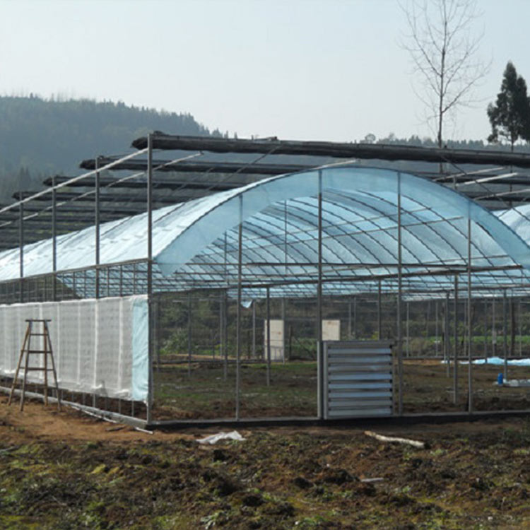 薄膜温室建设 青州薄膜温室 免费测量