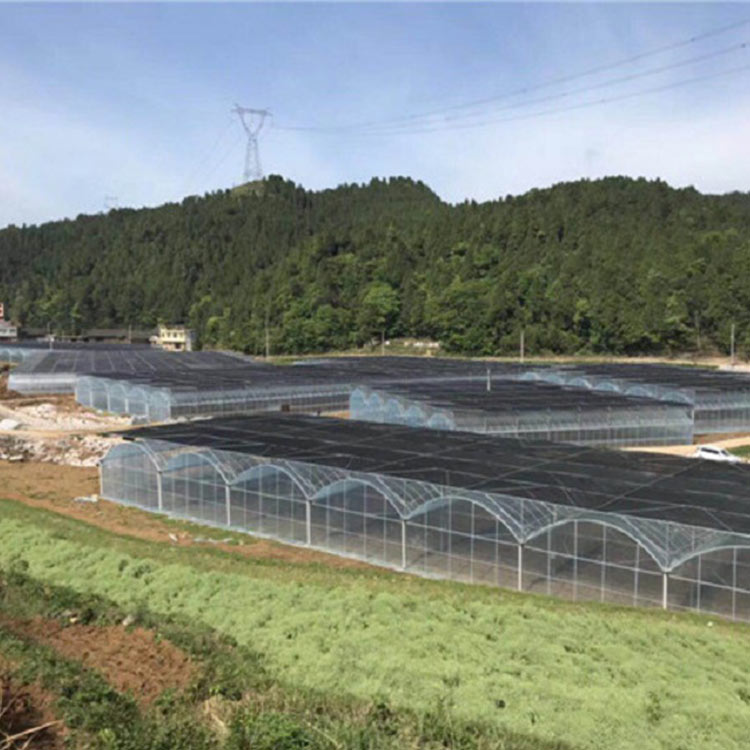 连栋温室大棚承建商 青州连栋温室大棚 上门搭建