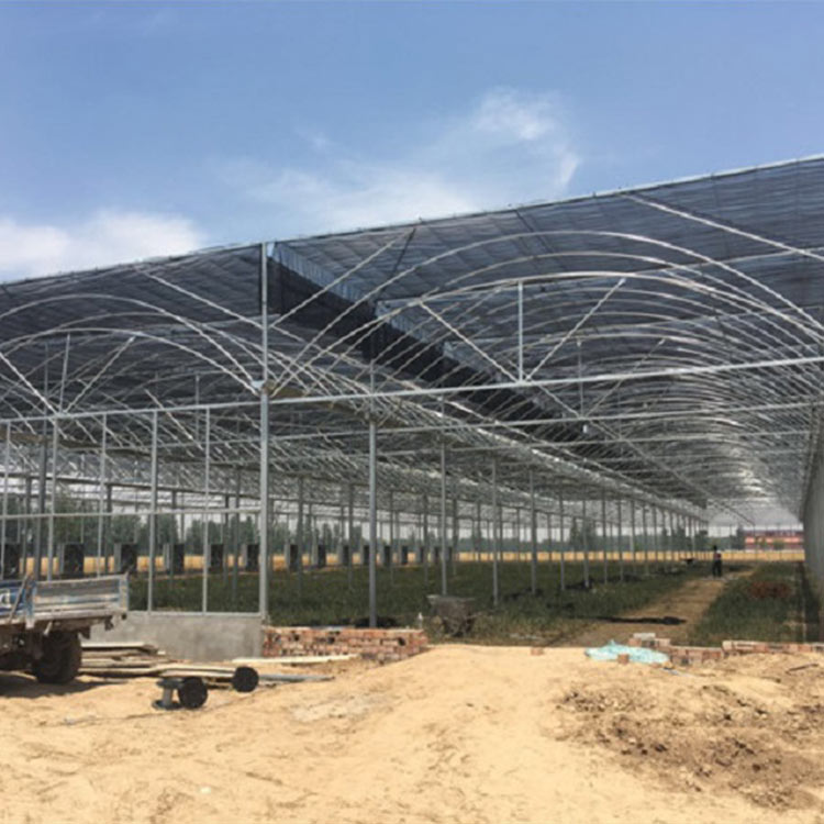 薄膜连栋温室建造 青州薄膜连栋温室 安装设计