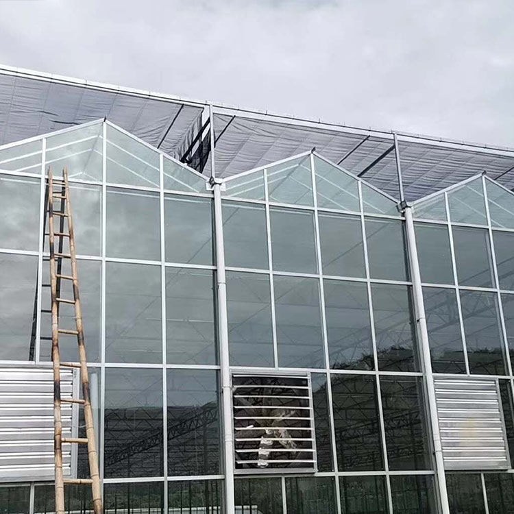 工程质量保证 玻璃温室工程 青州种植大棚施工
