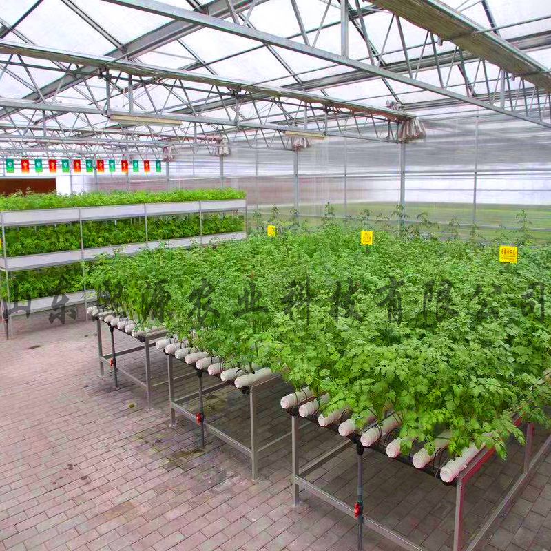 平铺式水培蔬菜 生产型无土栽培 营养液水培种植蔬菜 高产无土栽培