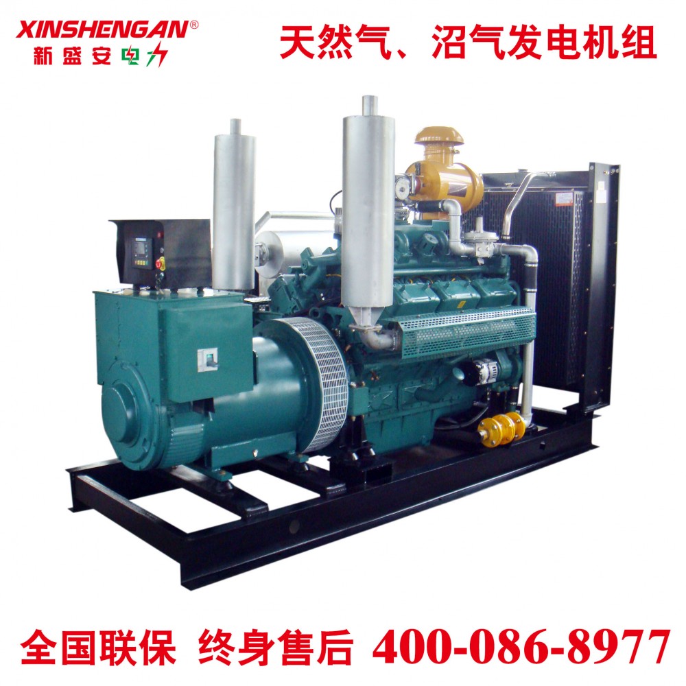 新盛安250千瓦燃气发电机组 天然气生物质气发电 沼气发电机组250KW