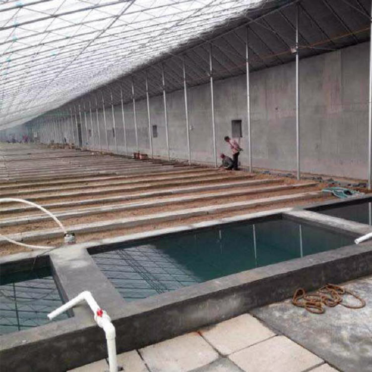 日光大棚设计 施工建设 青州日光大棚