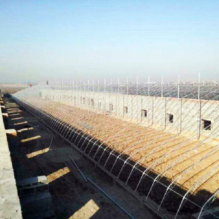 蔬菜大棚建造 施工建设 青州蔬菜大棚