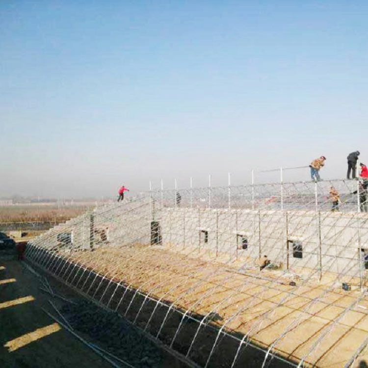 日光温室建设 价格合理 青州日光温室
