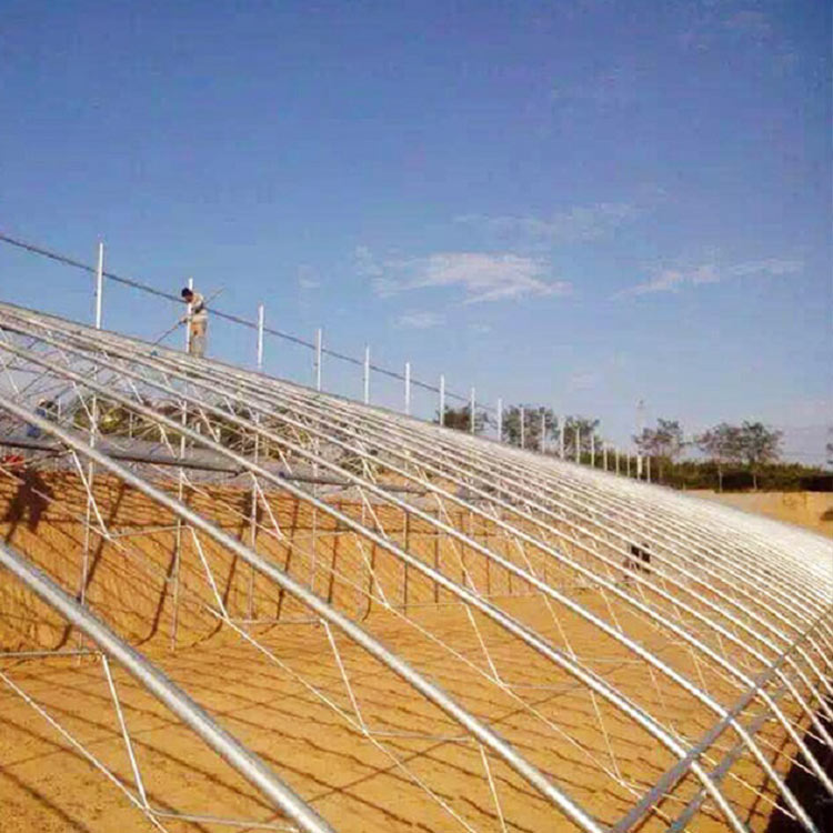 种植大棚设计 施工建设 山东种植大棚