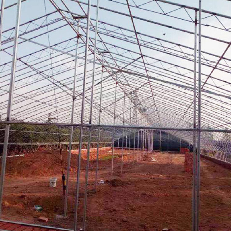 花卉大棚建造 施工建设 山东花卉大棚
