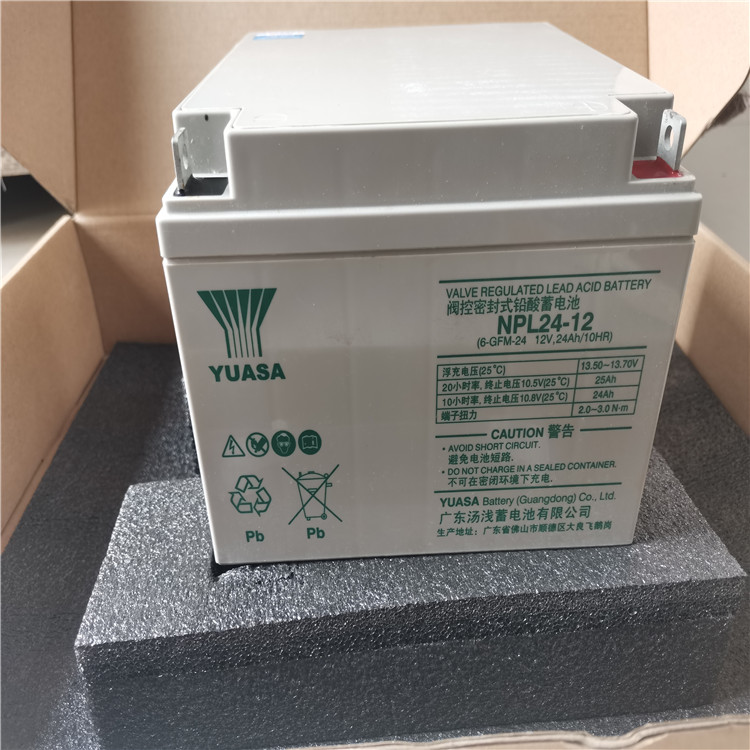 NIPAPC蓄电池NP38-12 12V38AH型号齐全 铅酸蓄电池厂家