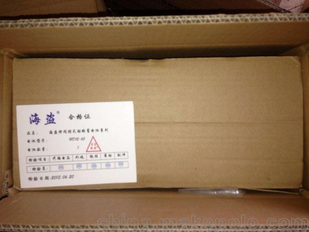 12V100AH海盗蓄电池HD12-100 阀控式蓄电池12V100AH 免维护储能铅酸蓄电池 UPS 直流屏 厂家直销