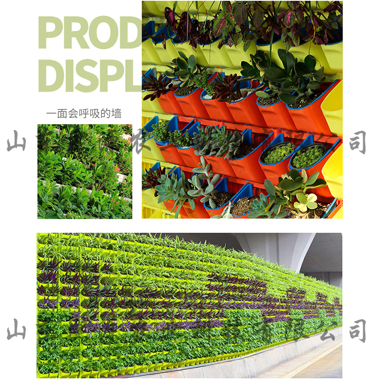 水培基质培厂家 无土栽培厂家供应 绿化植物墙栽培 立体种植蔬菜