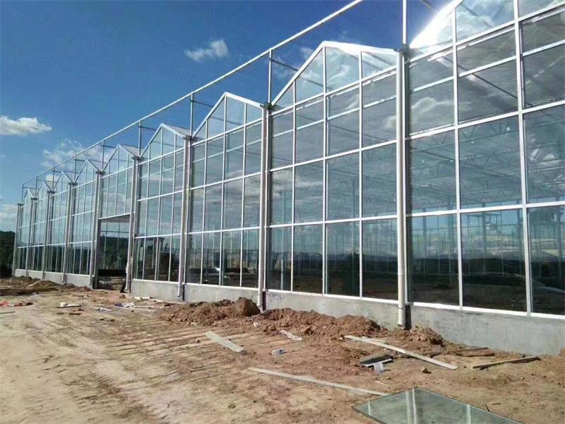 现代连栋温室大棚_连栋玻璃大棚_玻璃温室建设厂家
