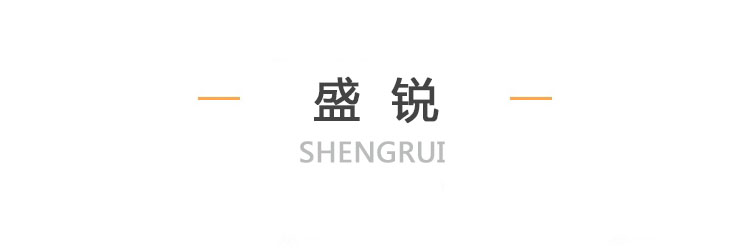 安徽盛锐门业有限公司 标志