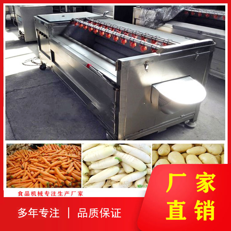 多功能胡萝卜毛辊清洗机 南瓜毛辊去皮清洗机 桔子毛辊磨皮抛光清洗机厂家
