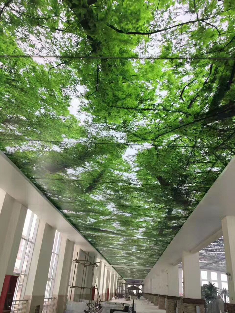 2020年拉膜天花吊顶 发光软膜灯箱 透光膜厂家