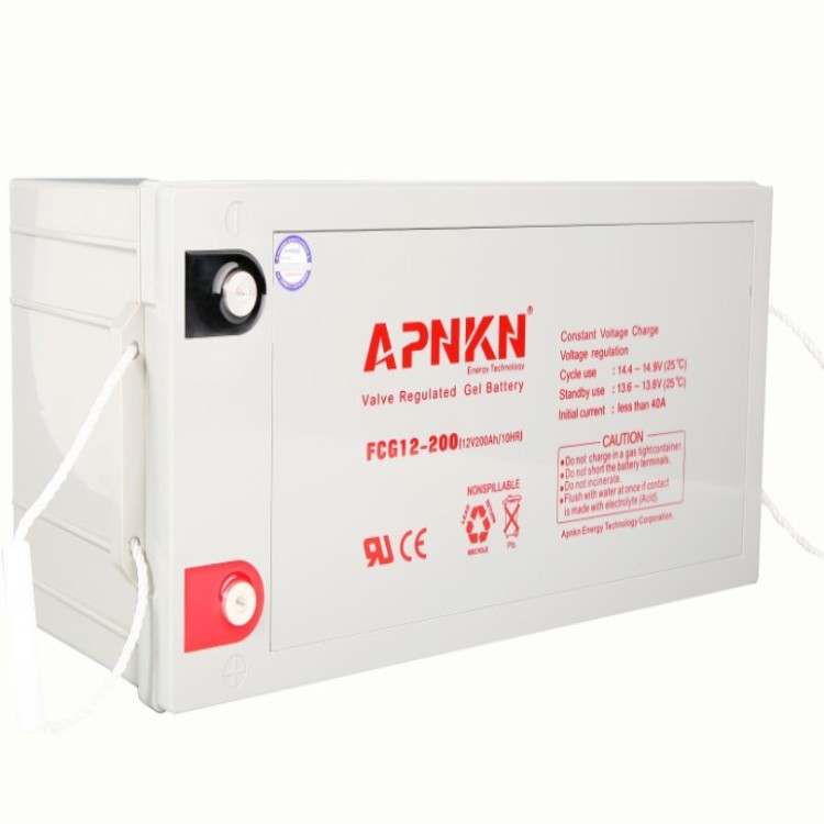 美国APNKN蓄电池FCG12-65 12V65AH 品克免维护储能蓄电池