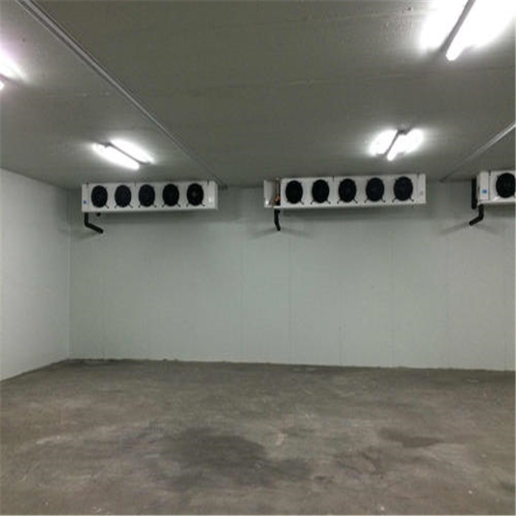 低温冷库医药冷库肉类贮藏冻库雪糕冷冻库建造冷冻库