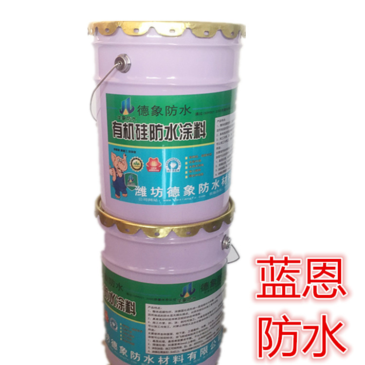 有机硅防水涂料  蓝恩防水生产批发 量大从优