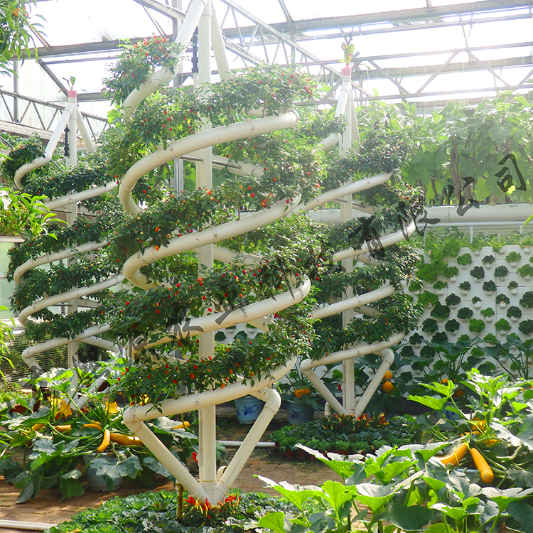 螺旋管道水培种植 立体种植蔬菜 水培蔬菜种植 无土栽培营养液供应