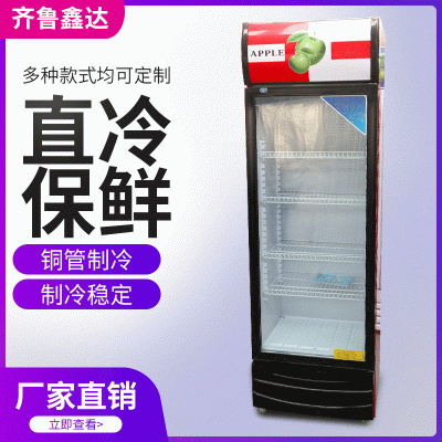厂家直销啤酒柜 单门啤酒柜 风冷啤酒柜 商用立式啤酒展示柜
