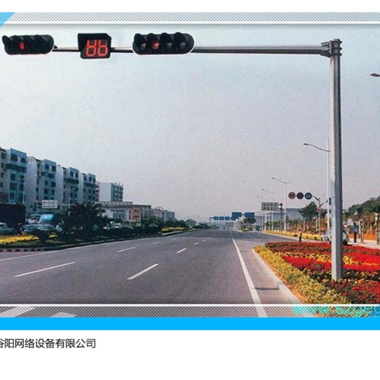道路小区码头新型农村6米8米10米路灯杆监控立杆