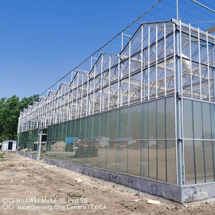 玻璃温室承建 山东玻璃温室 金江农业