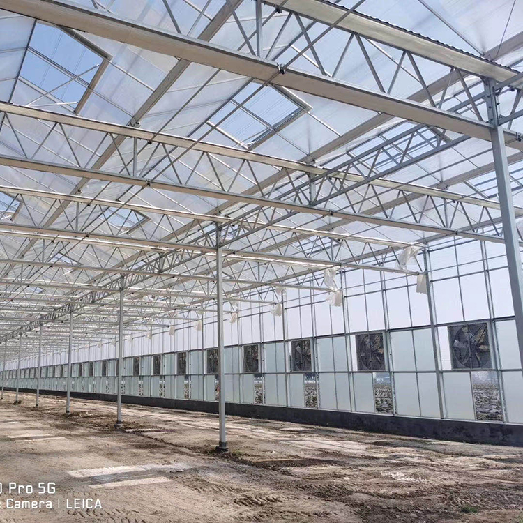 玻璃温室造价 山东玻璃温室工程 建造速度快